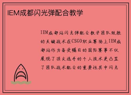 IEM成都闪光弹配合教学