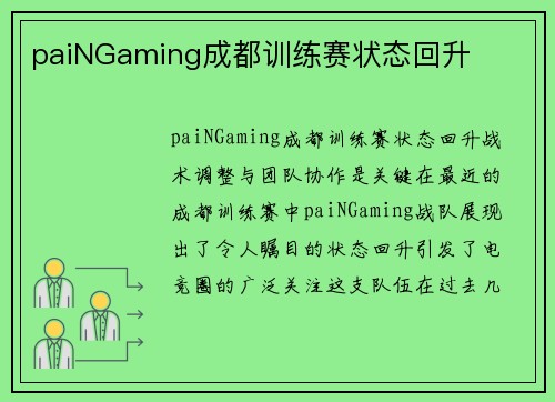 paiNGaming成都训练赛状态回升