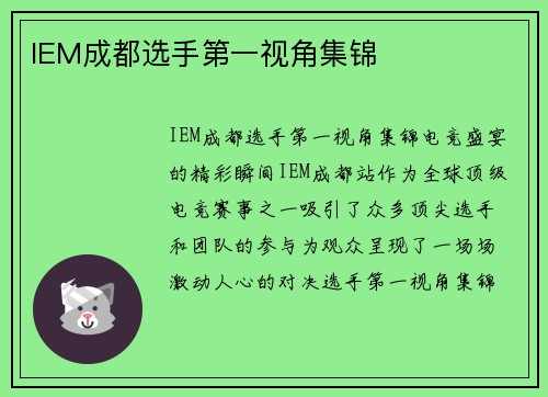 IEM成都选手第一视角集锦