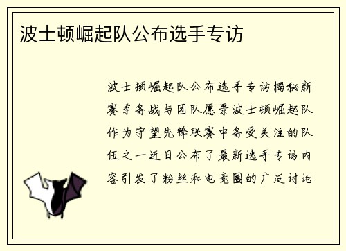 波士顿崛起队公布选手专访